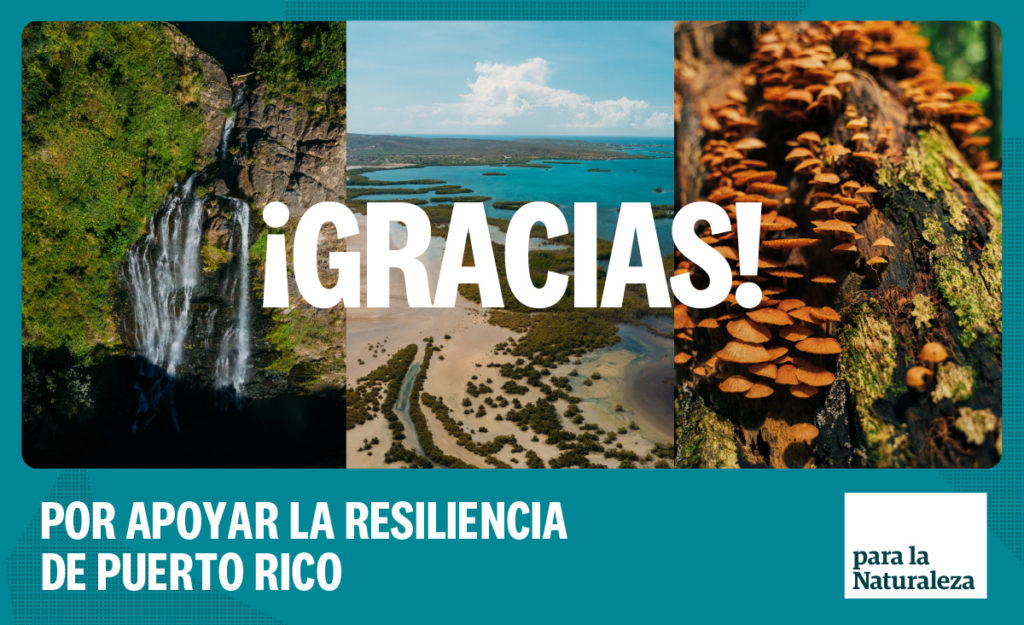 gracias-por-apoyar-la-resiliencia-de-puerto-rico