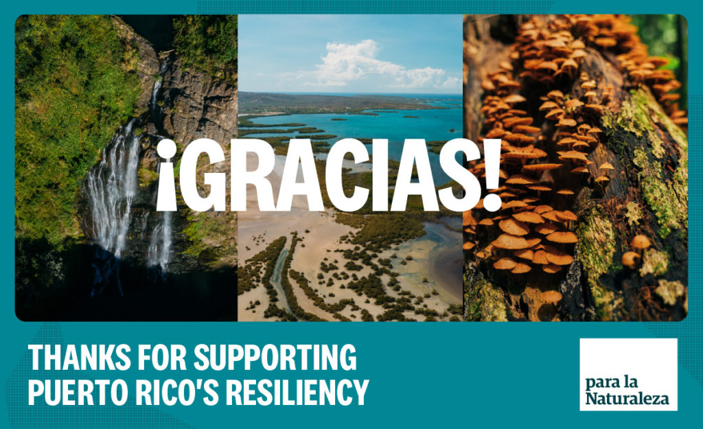 thanks-for-supporting-puerto-ricos-resiliency