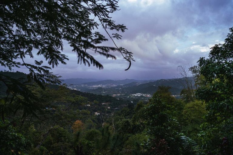 11 de diciembre de 2023, Las Lunas, Caguas Puerto Rico. Evento virutal con la Chef Natalia Vallejo y el Chef Jonathan Melendez. Ambos chefs compartieron una receta para prepararla durante la transmision en vivo. Tambien estuvo el agricultor Fernando Maldonado de Finca Carite 3.0, cuyas cosechas formaron parte del plato de la noche para resaltar la conexion de la tierra y de las recetas. Tambien estuvo el bartender Carlos de la Factoria. Foto por Alberto Bartolomei 2023