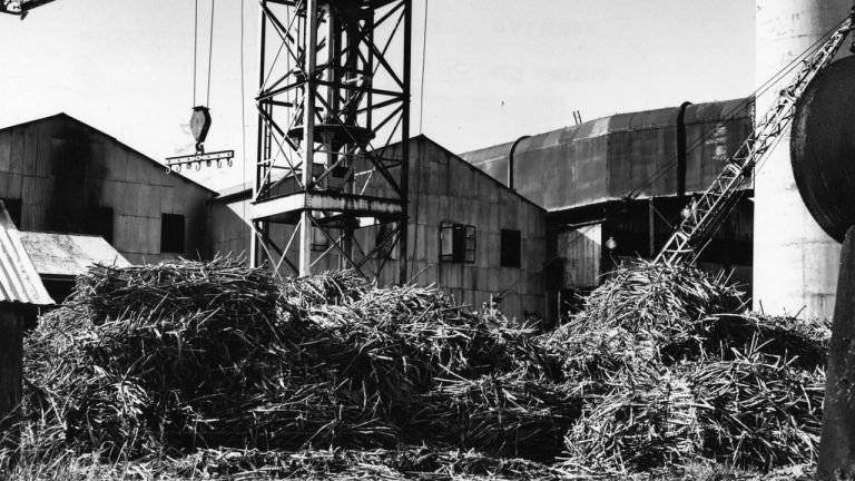 Para La Naturaleza Memoria Viva Las Centrales Azucareras De Puerto Rico 1591