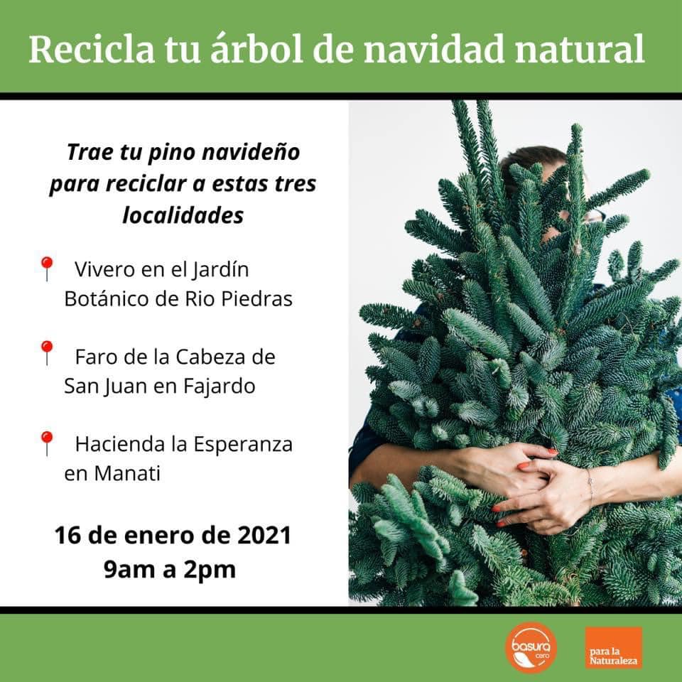 Para la Naturaleza | Reciclaje de árboles navideños